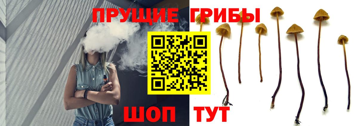Галлюциногенные грибы Psilocybine cubensis Рассказово