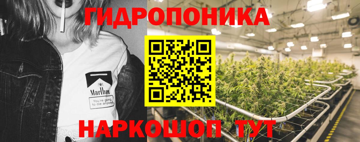 Бошки марихуана MAZAR  Бошки Шишки индика  Бошки марихуана LSD WEED  Рассказово  Вход с VPN 